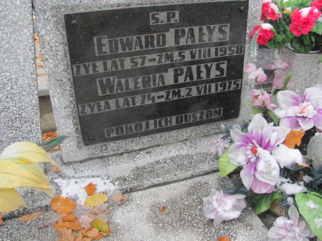 Grób Edward Pałys