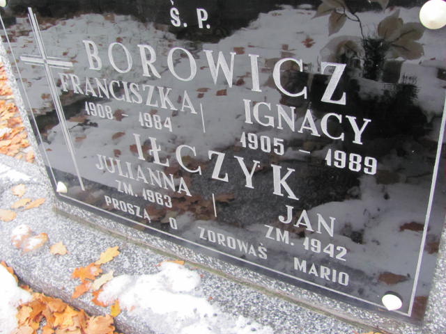 Ignacy Borowicz 1905 Janów Złoty Potok - Grobonet - Wyszukiwarka osób pochowanych