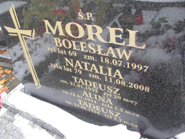 Alina Elżbieta Morel 1952 Janów Złoty Potok - Grobonet - Wyszukiwarka osób pochowanych