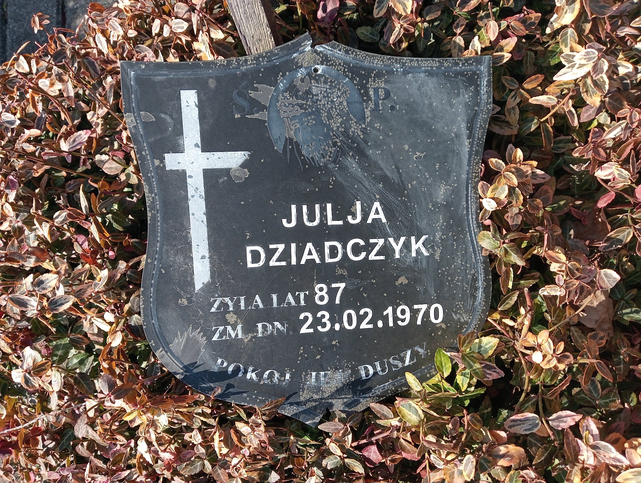 Zdjęcie grobu