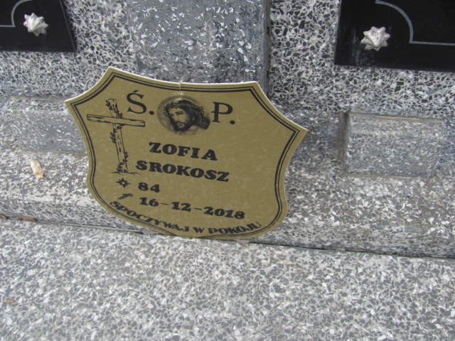 Władysław Srokosz 1929 Janów Złoty Potok - Grobonet - Wyszukiwarka osób pochowanych