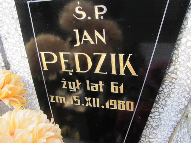 Jan Pędzik 1919 Janów Złoty Potok - Grobonet - Wyszukiwarka osób pochowanych