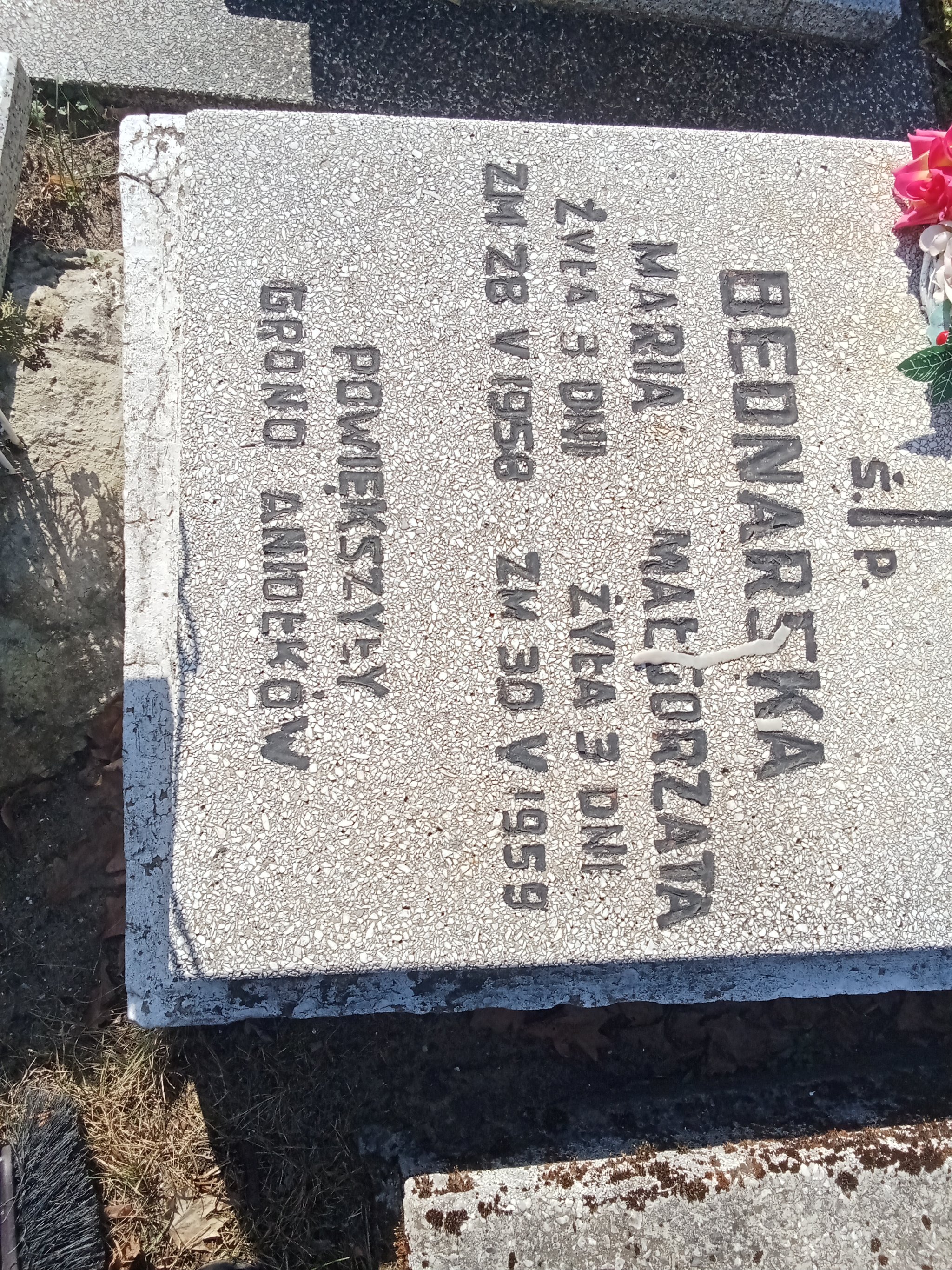 Maria Małgorzata Bednarska 1959 Janów Złoty Potok - Grobonet - Wyszukiwarka osób pochowanych